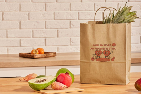 Tragetaschen aus Papier mit Kordelhenkel | Couvertsbestellen.ch